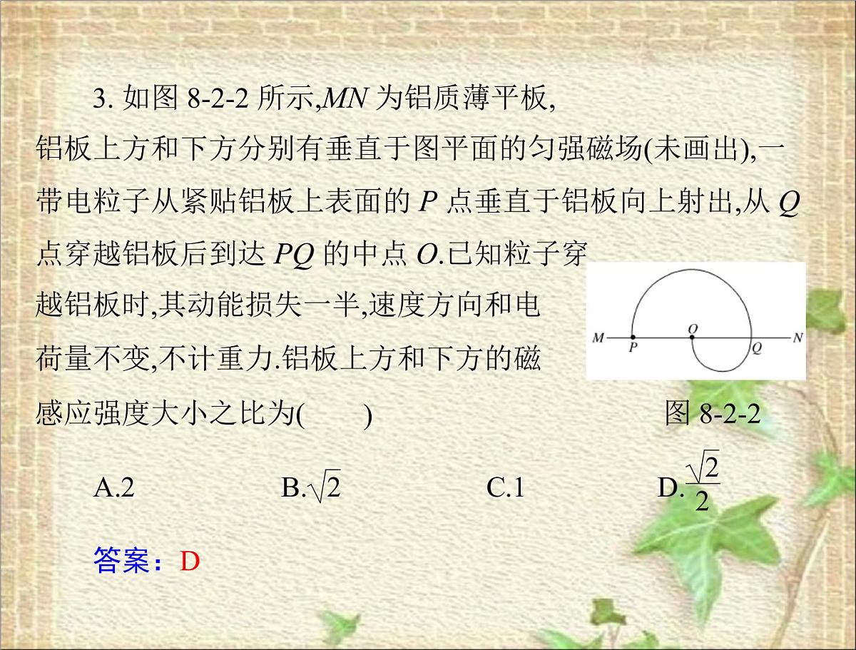 2022-2023年高考物理一轮复习 磁场对运动电荷的作用 课件第7页