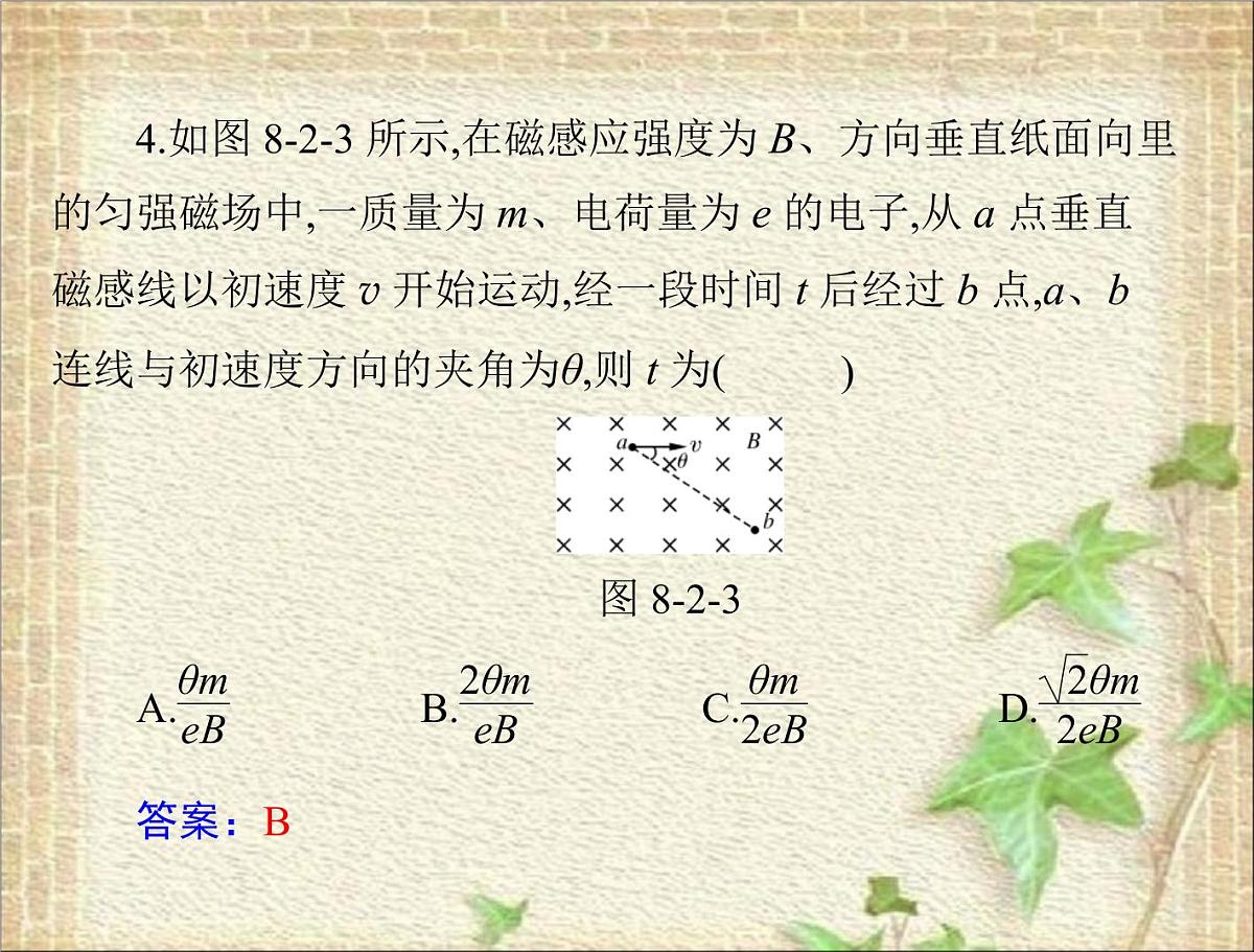 2022-2023年高考物理一轮复习 磁场对运动电荷的作用 课件第8页