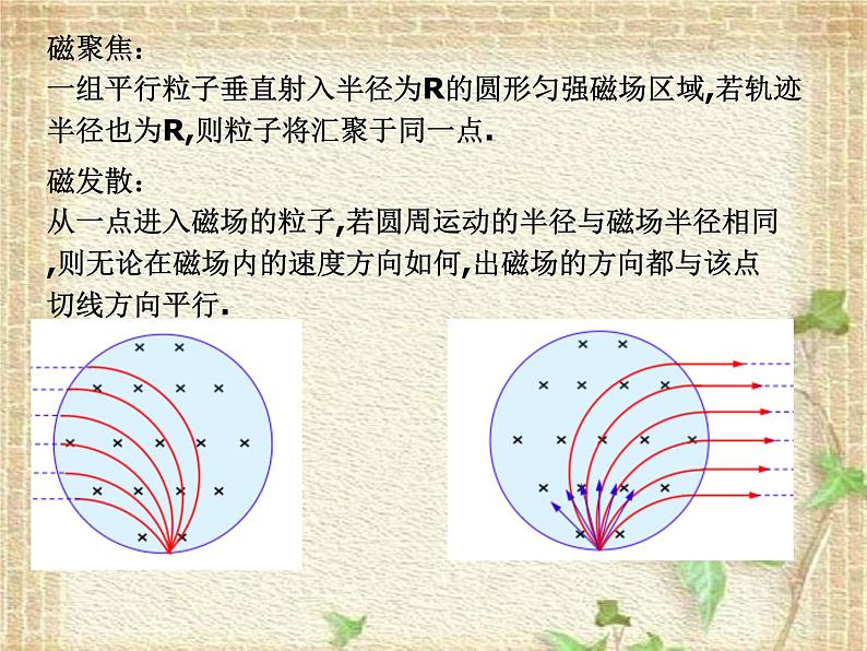 2022-2023年高考物理一轮复习 磁聚焦课件02