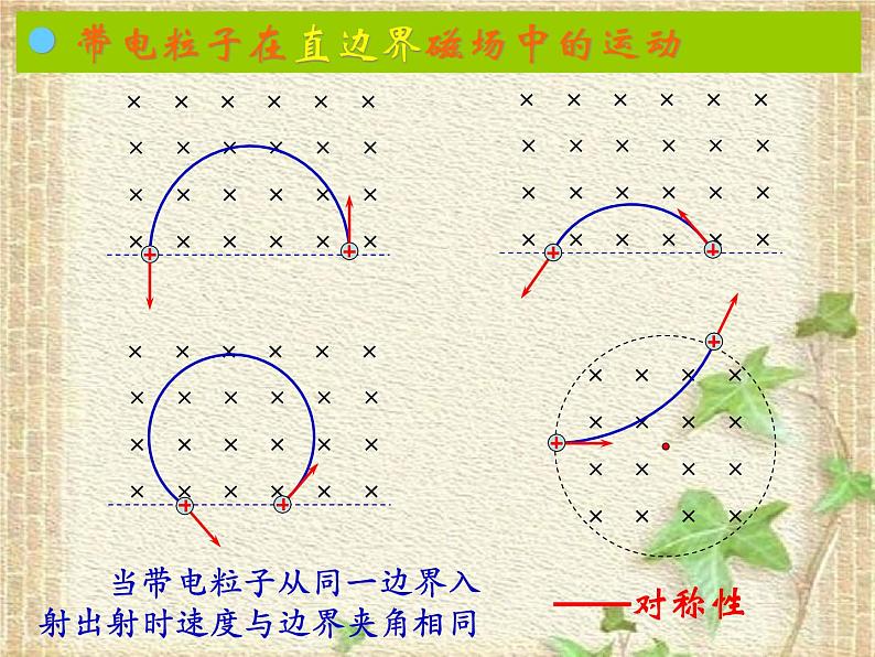 2022-2023年高考物理一轮复习 磁聚焦问题 课件02