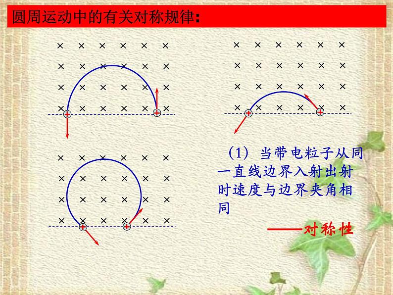 2022-2023年高考物理一轮复习 磁聚焦问题 课件04