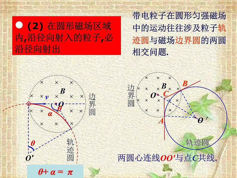 2022-2023年高考物理一轮复习 磁聚焦问题 课件05