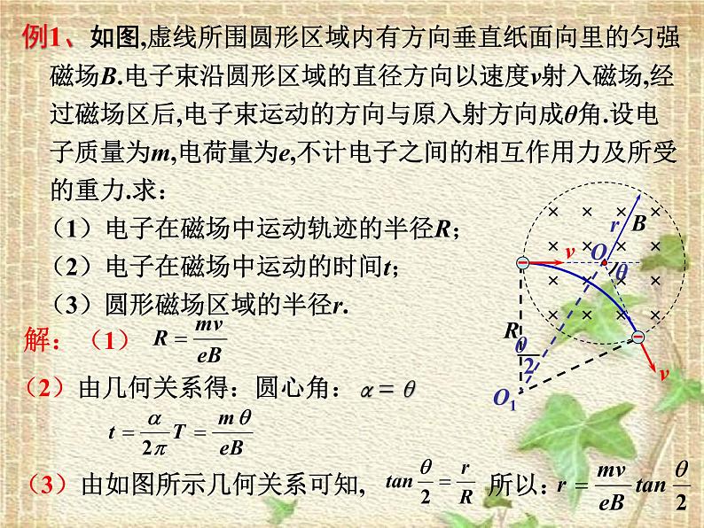 2022-2023年高考物理一轮复习 磁聚焦问题 课件06