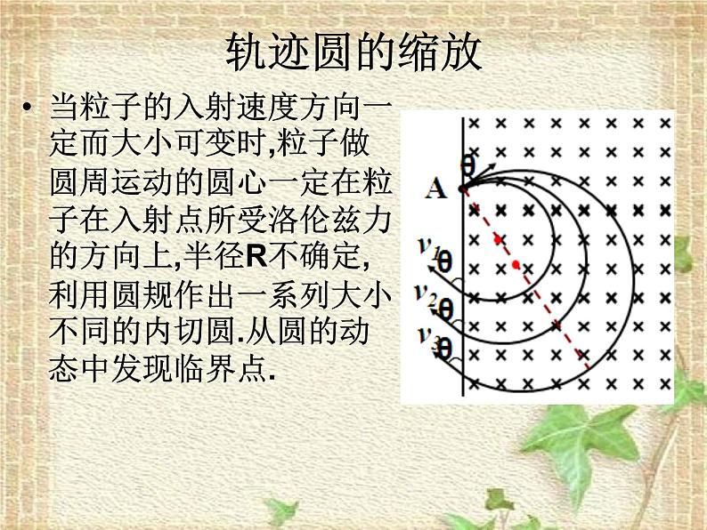 2022-2023年高考物理一轮复习 带电粒子在磁场中运动放缩圆和旋转圆 课件02