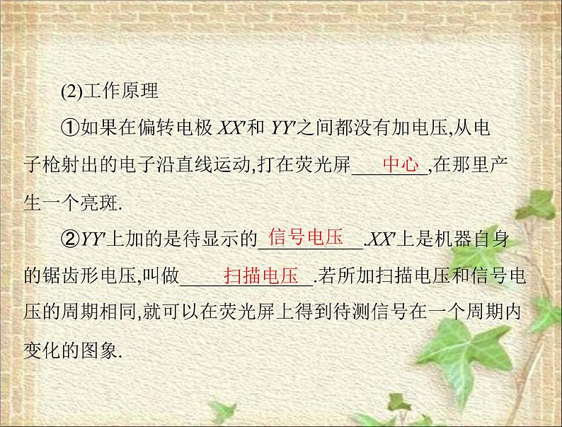 2022-2023年高考物理一轮复习 电容器与电容带电粒子在电场中的运动课件08