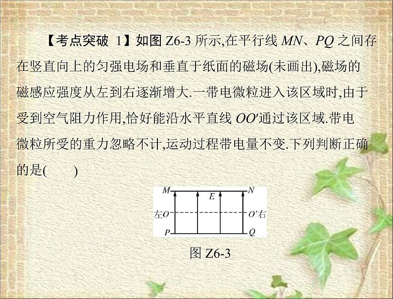 2022-2023年高考物理一轮复习 带电粒子在复合场中运动的科技应用课件05