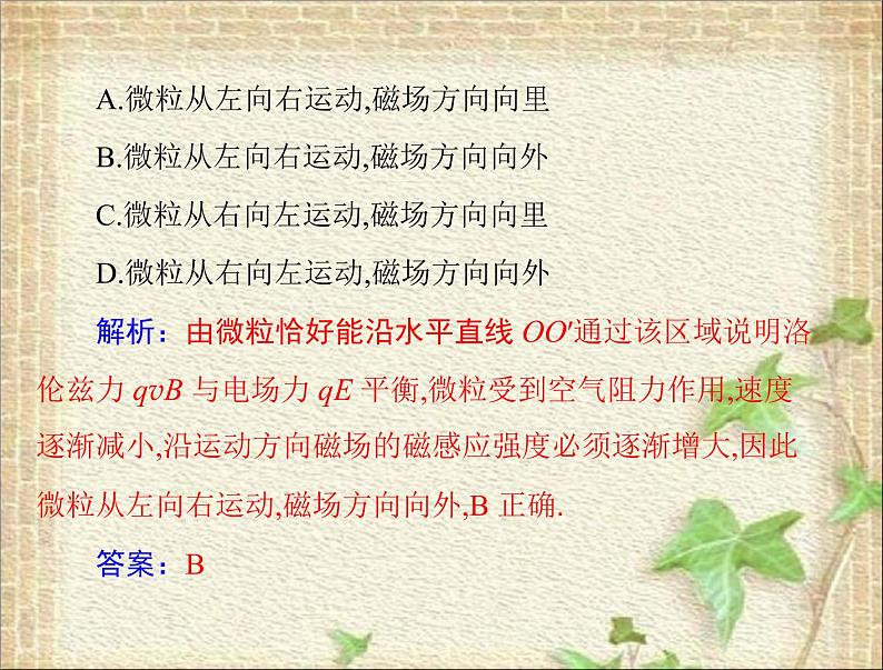 2022-2023年高考物理一轮复习 带电粒子在复合场中运动的科技应用课件06