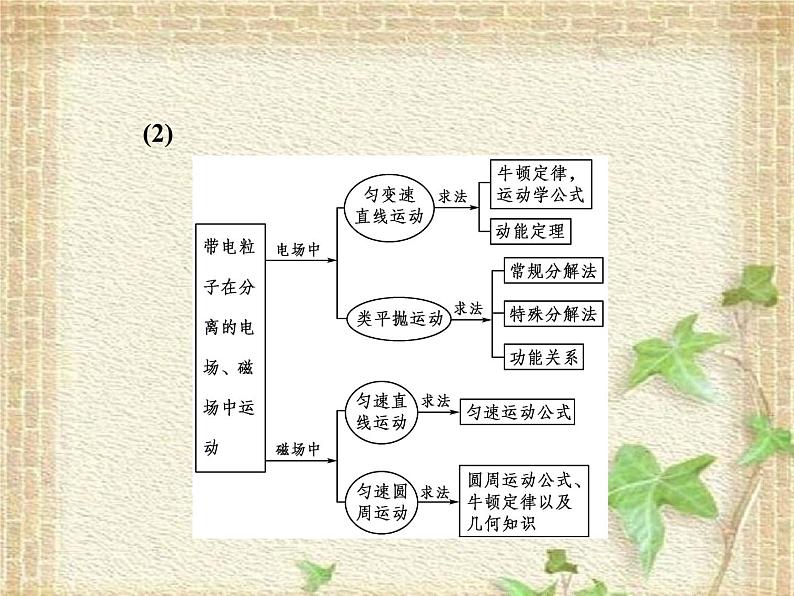 2022-2023年高考物理一轮复习 带电粒子在复合场中运动问题的处理方法 课件第3页