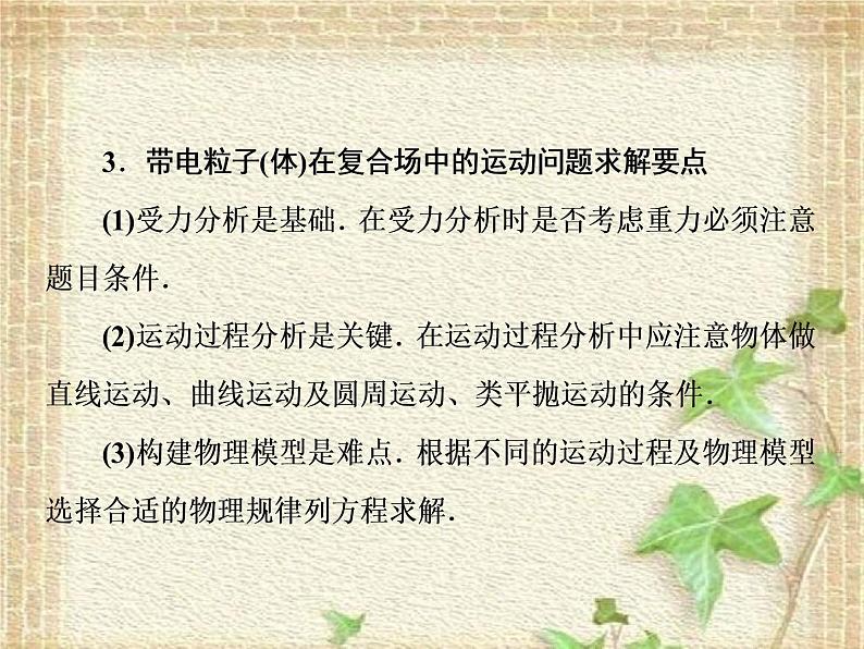 2022-2023年高考物理一轮复习 带电粒子在复合场中运动问题的处理方法 课件第5页