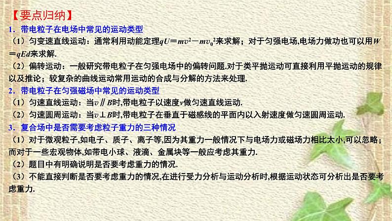 2022-2023年高考物理一轮复习 带电粒子在复合场中的运动 课件第2页