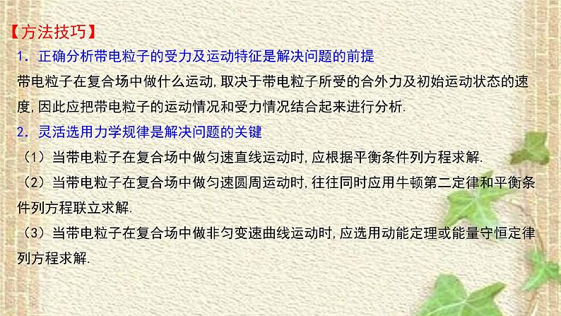 2022-2023年高考物理一轮复习 带电粒子在复合场中的运动 课件第3页