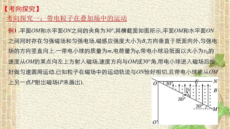 2022-2023年高考物理一轮复习 带电粒子在复合场中的运动 课件第4页