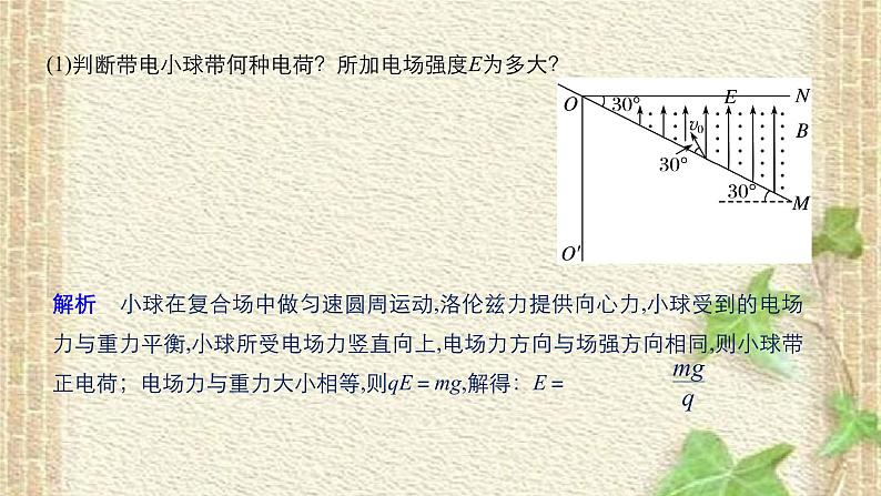 2022-2023年高考物理一轮复习 带电粒子在复合场中的运动 课件第5页