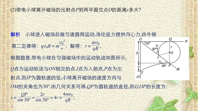 2022-2023年高考物理一轮复习 带电粒子在复合场中的运动 课件第6页