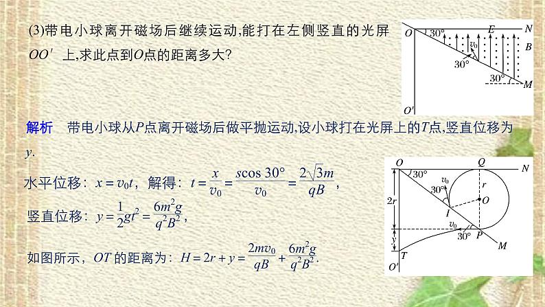 2022-2023年高考物理一轮复习 带电粒子在复合场中的运动 课件第7页