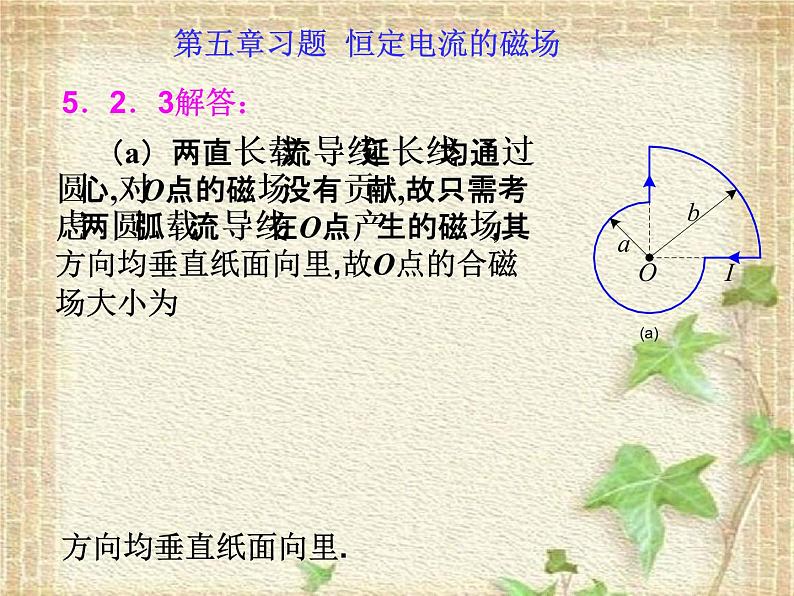 2022-2023年高中物理竞赛 恒定电流的磁场课件第1页