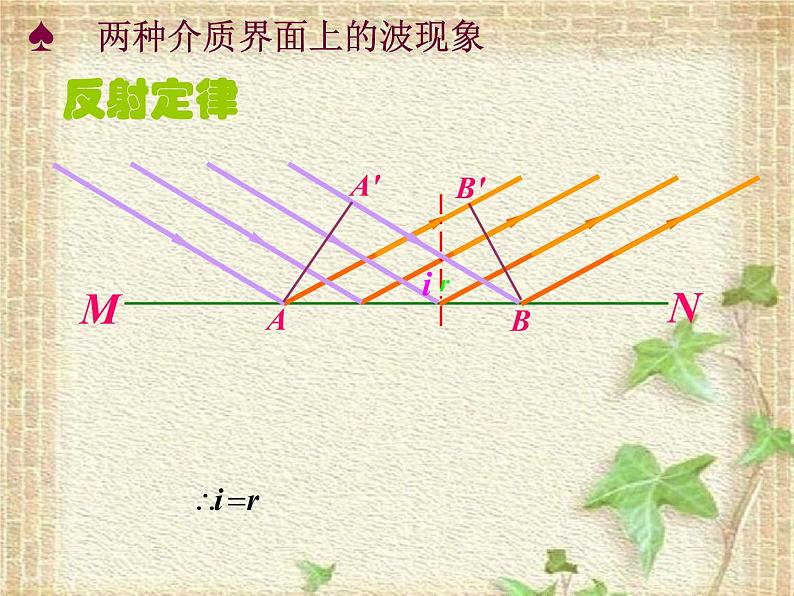 2022-2023年高中物理竞赛 波的几何描述与特征现象课件第4页