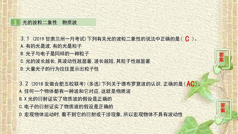 2022-2023年高考物理一轮复习 光电效应　波粒二象性课件08