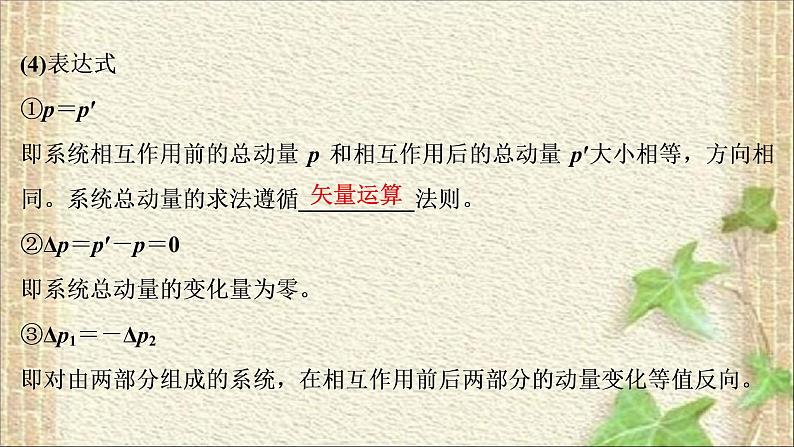 2022-2023年高考物理一轮复习 动量和动量守恒定律课件08