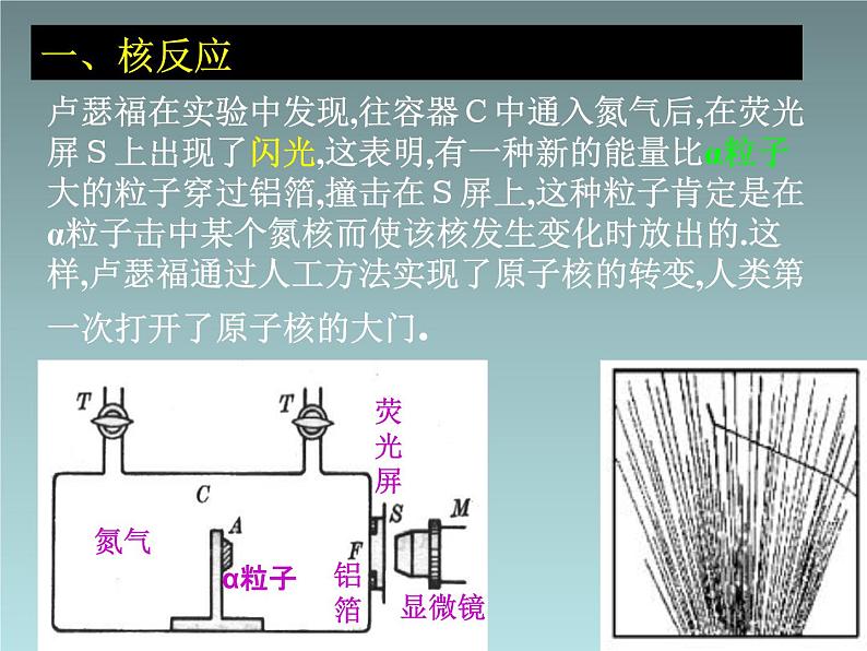 2022-2023年高考物理一轮复习 放射性的应用与防护课件第2页