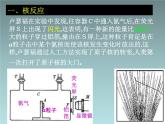 2022-2023年高考物理一轮复习 放射性的应用与防护课件