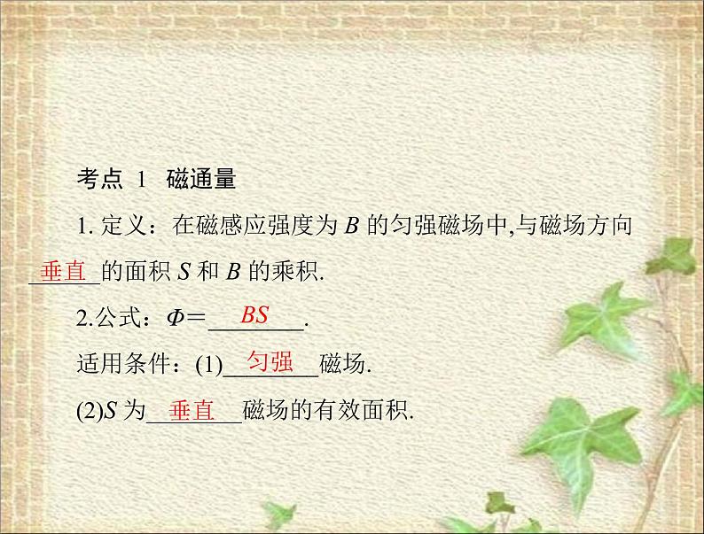 2022-2023年高考物理一轮复习 电磁感应现象楞次定律课件课件第2页