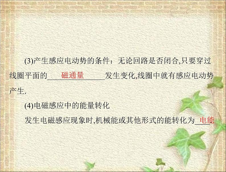 2022-2023年高考物理一轮复习 电磁感应现象楞次定律课件课件第5页