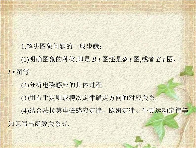 2022-2023年高考物理一轮复习 电磁感应中的图象问题课件课件第1页