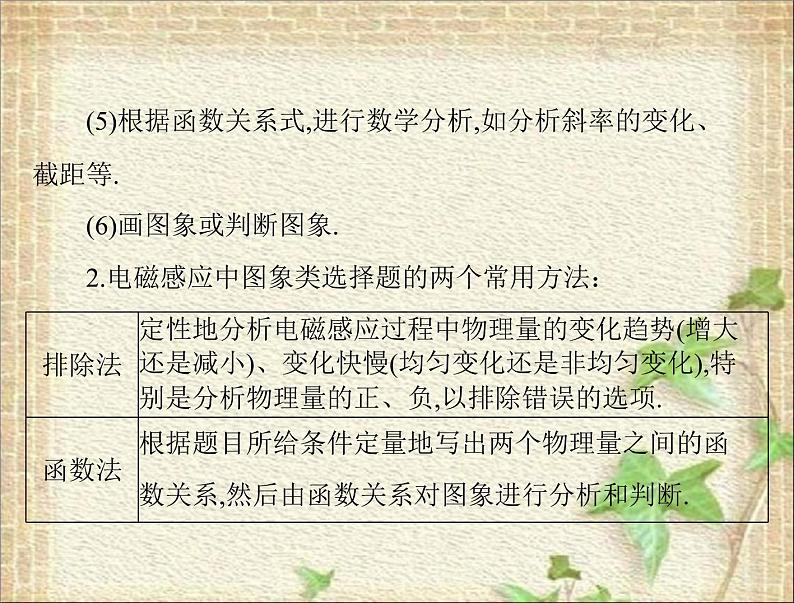 2022-2023年高考物理一轮复习 电磁感应中的图象问题课件课件第2页