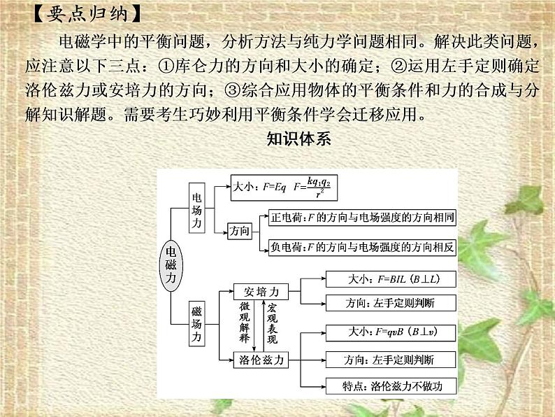 2022-2023年高考物理一轮复习 电磁学中的平衡问题课件第2页