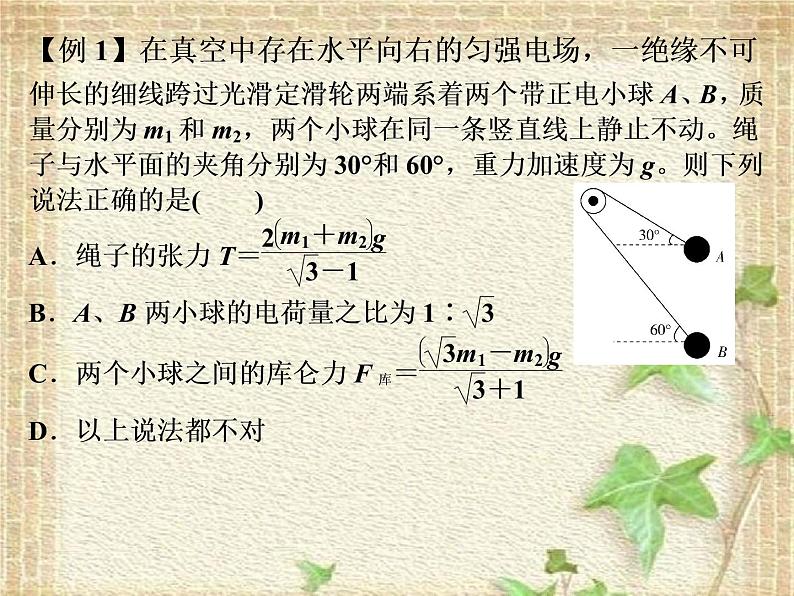 2022-2023年高考物理一轮复习 电磁学中的平衡问题课件第5页