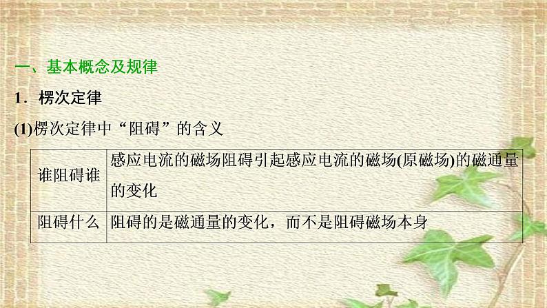 2022-2023年高考物理一轮复习 电磁感应及其应用课件第2页