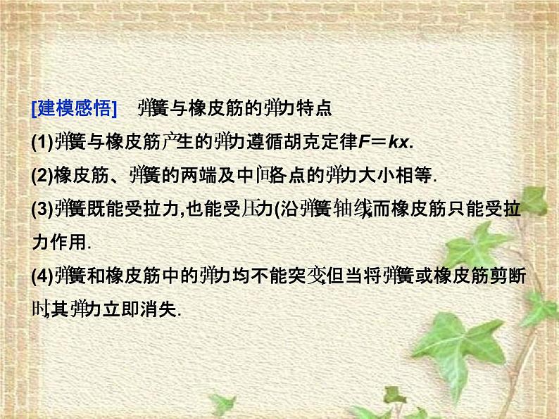 2022-2023年高考物理一轮复习 高中物理常见十种模型课件第7页