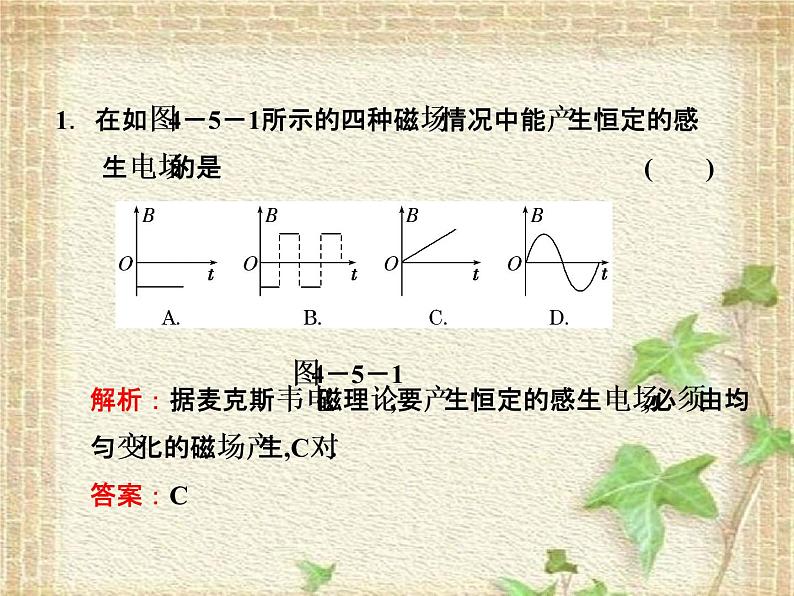 2022-2023年高考物理一轮复习 电磁感应现象的两类情况课件第5页