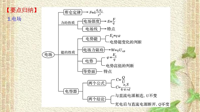 2022-2023年高考物理一轮复习 电场和磁场的基本性质课件02