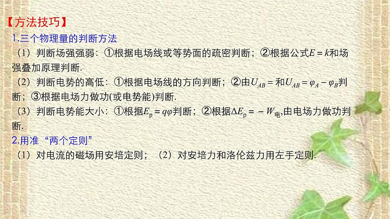 2022-2023年高考物理一轮复习 电场和磁场的基本性质课件04