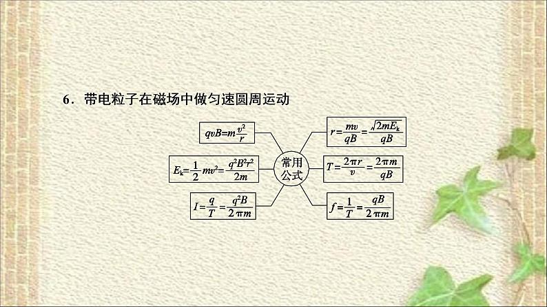 2022-2023年高考物理一轮复习 电场和磁场及带电粒子运动问题课件07