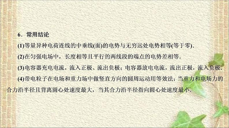 2022-2023年高考物理一轮复习 电场与磁场课件第8页