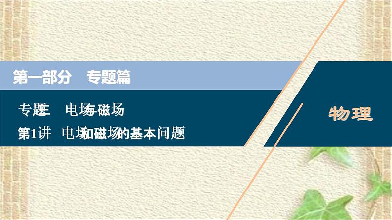 2022-2023年高考物理一轮复习 电场和磁场的基本问题课件第1页