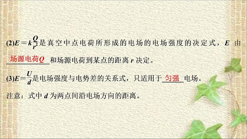 2022-2023年高考物理一轮复习 电场和磁场的基本问题课件第3页