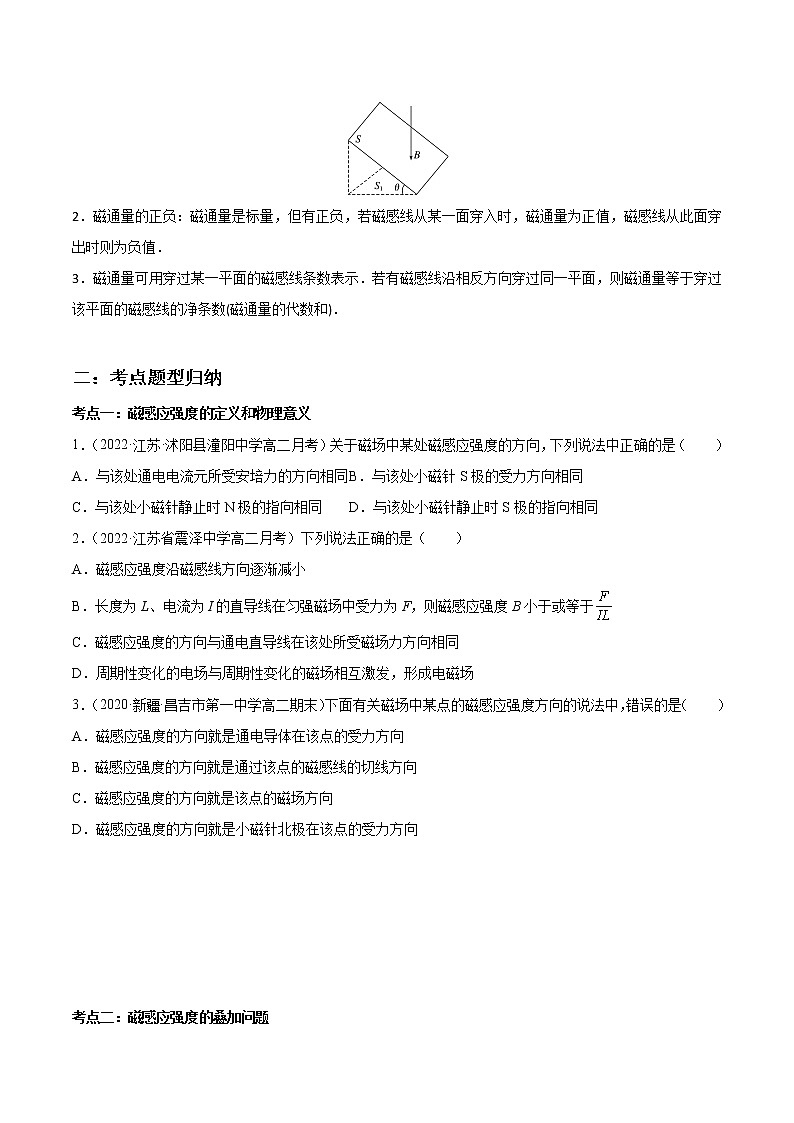 13.2 磁感应强度　磁通量-2023学年高二物理精讲与精练高分突破考点专题系列（人教版2019必修第三册）第2页