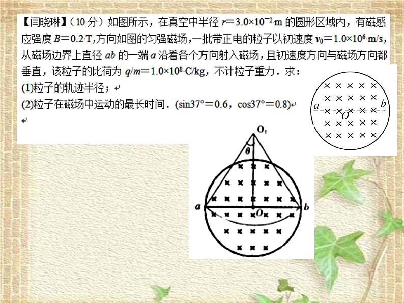 2022-2023年高考物理一轮复习 带电粒子在有界磁场中的运动课件第1页