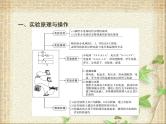 2022-2023年高考物理一轮复习 描绘小电珠的伏安特性曲线课件