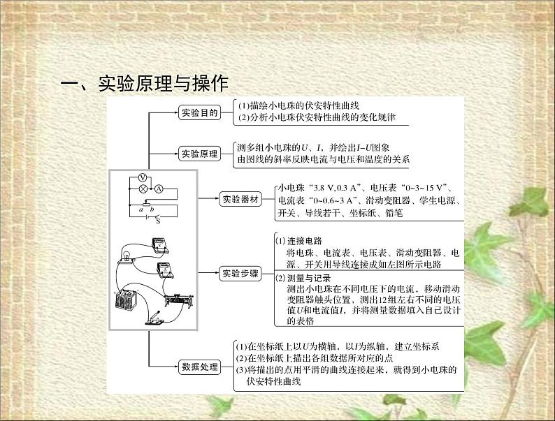 2022-2023年高考物理一轮复习 描绘小电珠的伏安特性曲线课件第1页