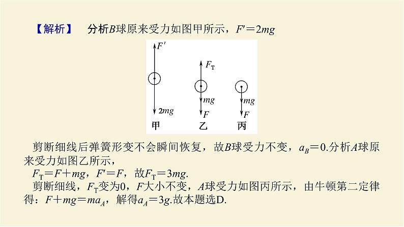 新人教版高中物理必修第一册第四章运动和力的关系素养提升12牛顿第二定律的瞬时性课件第5页