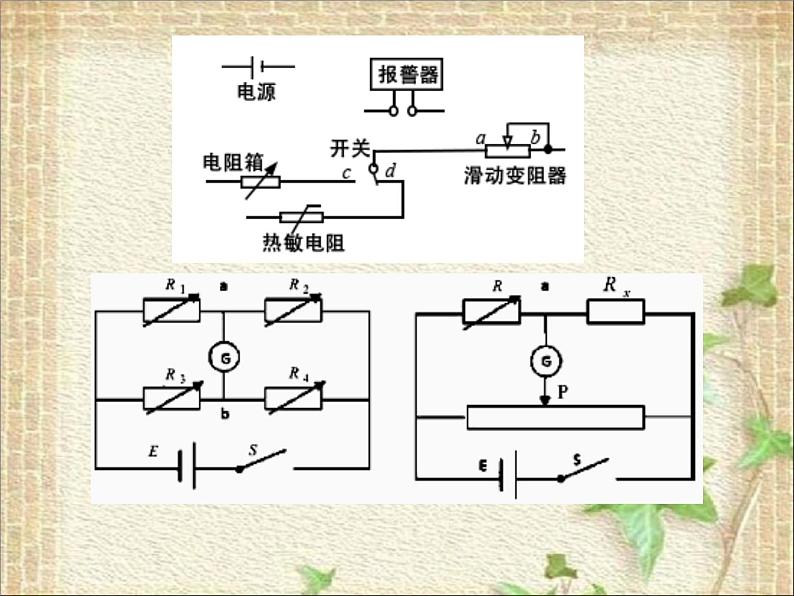 2023届高考物理二轮复习课件： 电学实验第6页