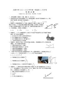 2021-2022学年湖北省荆门市龙泉中学高一上学期11月月考（实验班）物理试卷