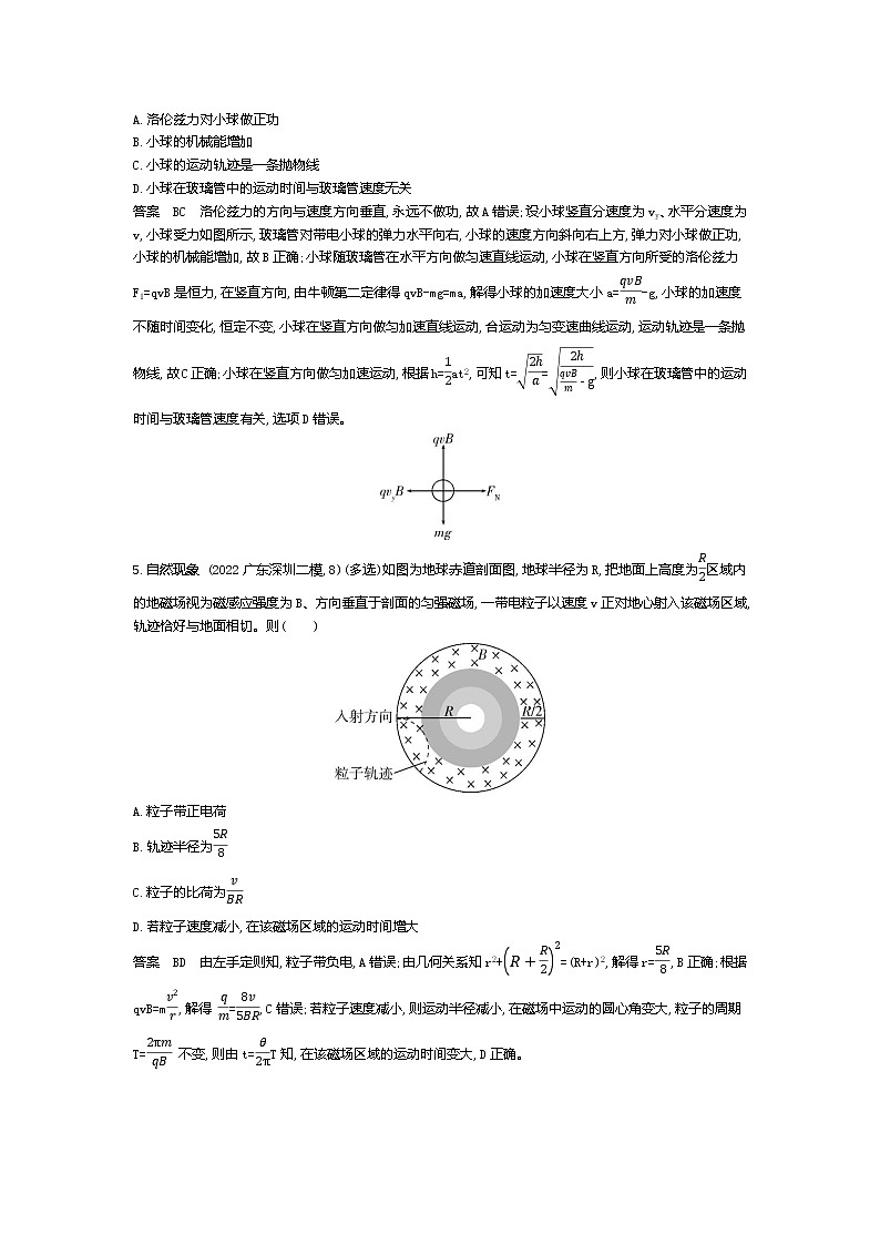 高考_专题十 磁场（资料包word版）试卷第3页