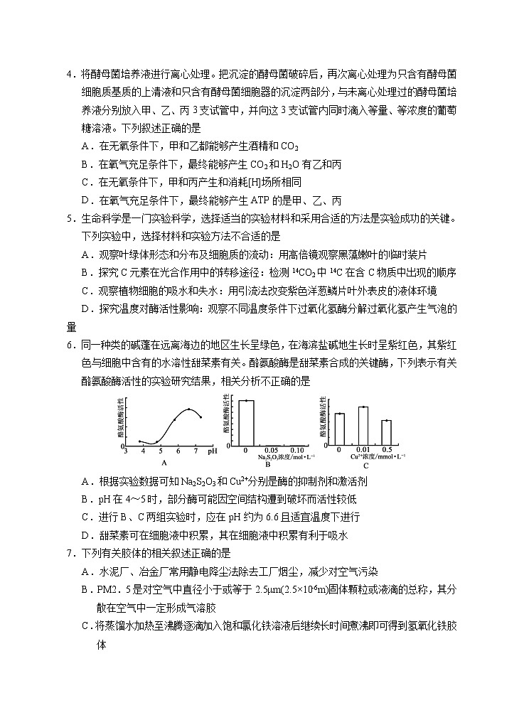 宁夏银川一中2023届高三上学期第一次月考理综试题（Word版附答案）第2页