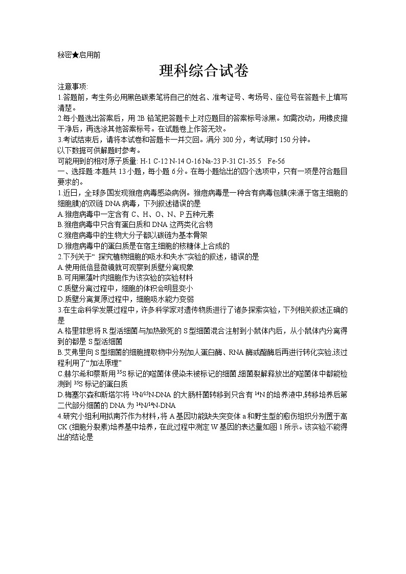 云南师范大学附属中学2023届高三上学期高考适应性月考卷（二）理综试题（Word版附解析）01